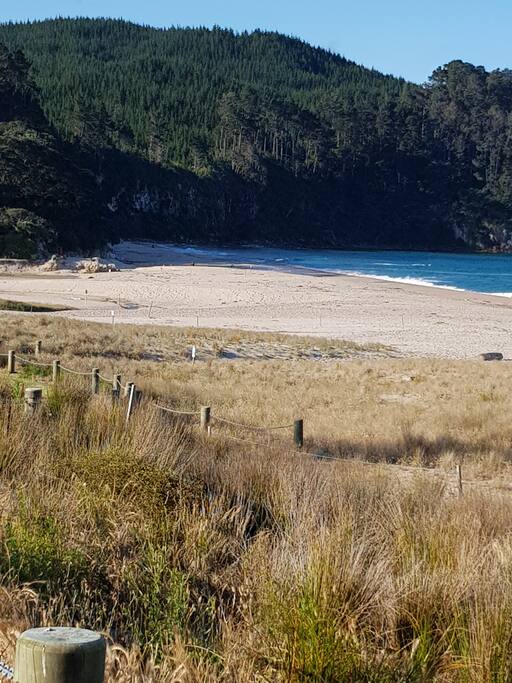 Pristine Beach