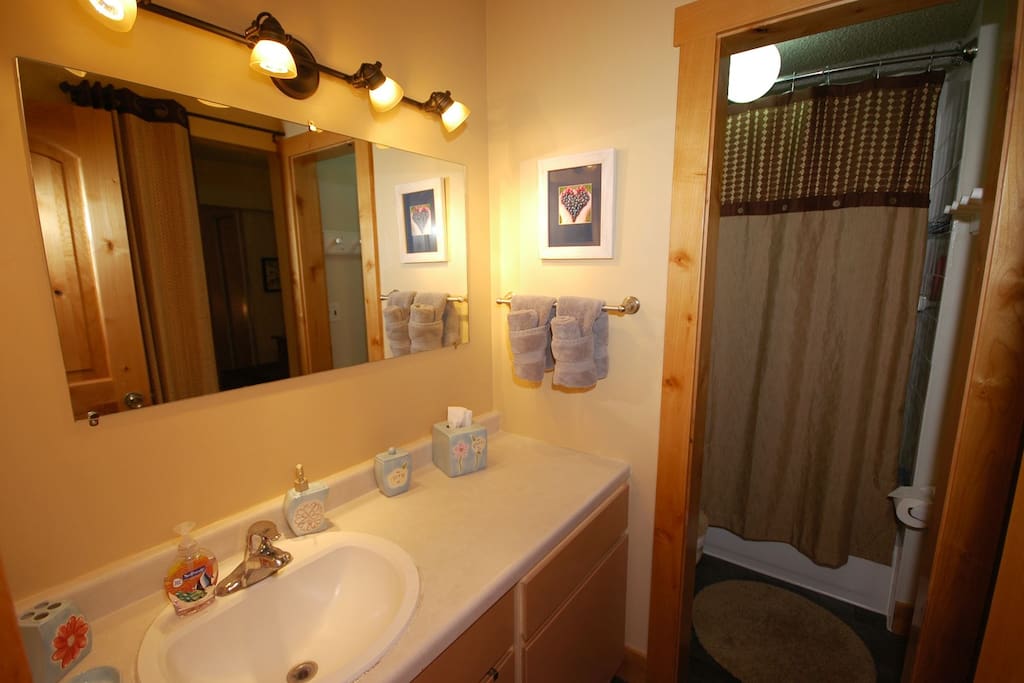 Beautifully appointed bathroom with tub/ shower and large mirror.