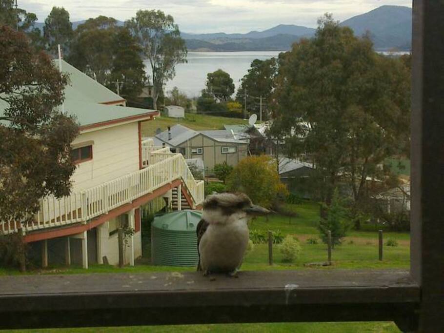 View from the Balcony overlooking the valley and Lake