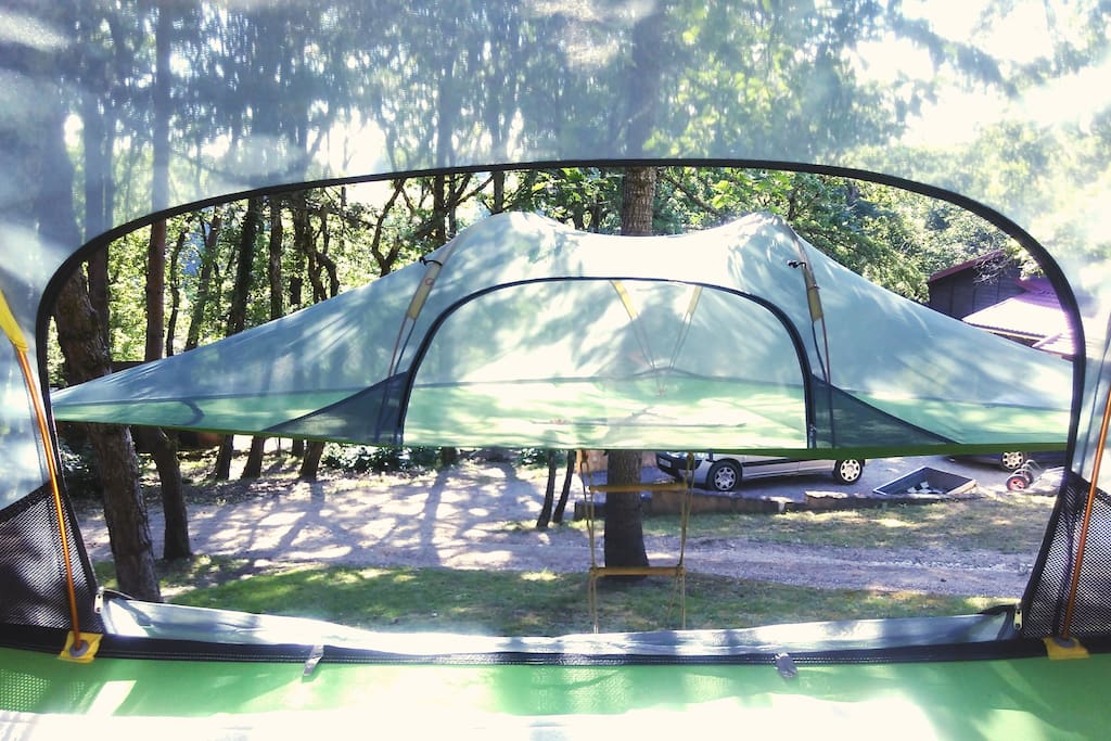 Tree connect, location et installation de tentsile dans les arbres en Dordogne