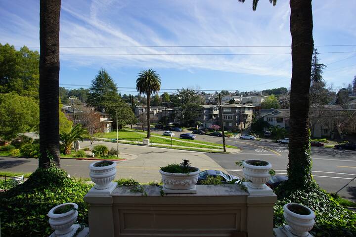 4 bedroom, 3 bathroom, huge, with palms and art gallery image 2