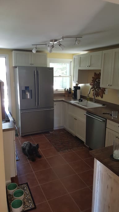 Kitchen with professional Suite. Dog not included.