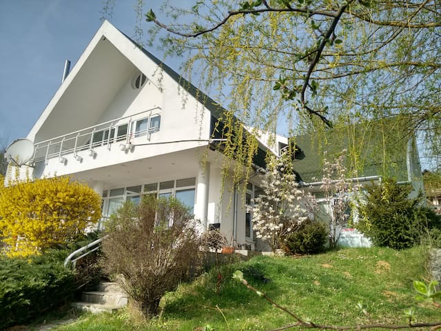 White Villa - Transylvanian lakeside holiday home