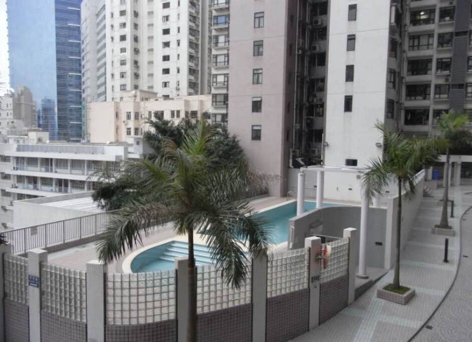 The pool