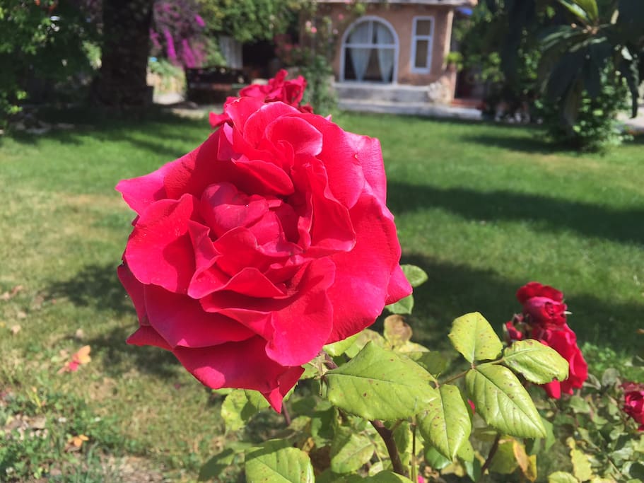 Sweet welcome to Valls! Ideal for family or romantic holidays.