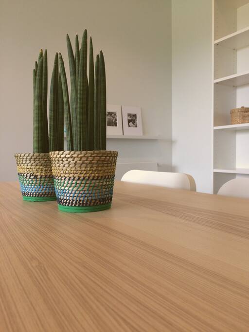 60m² spacious, modern apartment