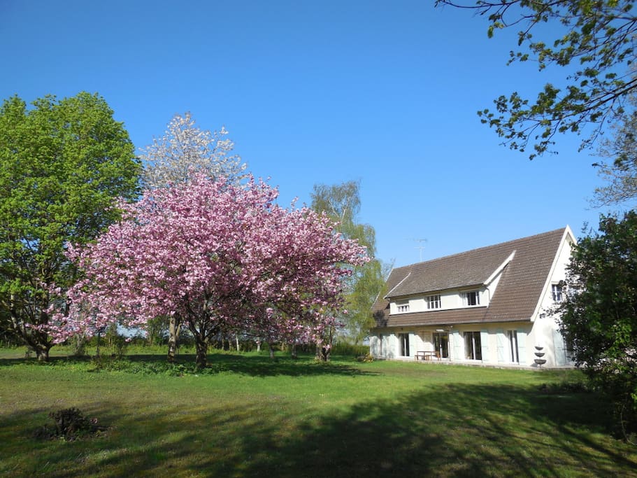 La maison en été
