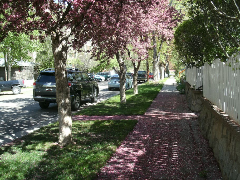 The neighborhood.