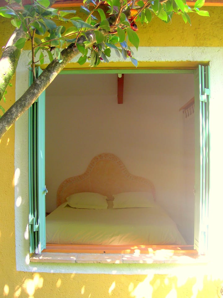 habitación con vistas al jardín debajo de las camelias
