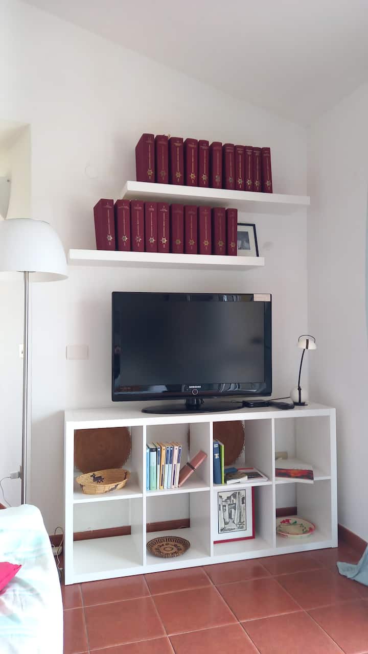 Televízny e dekodér, 