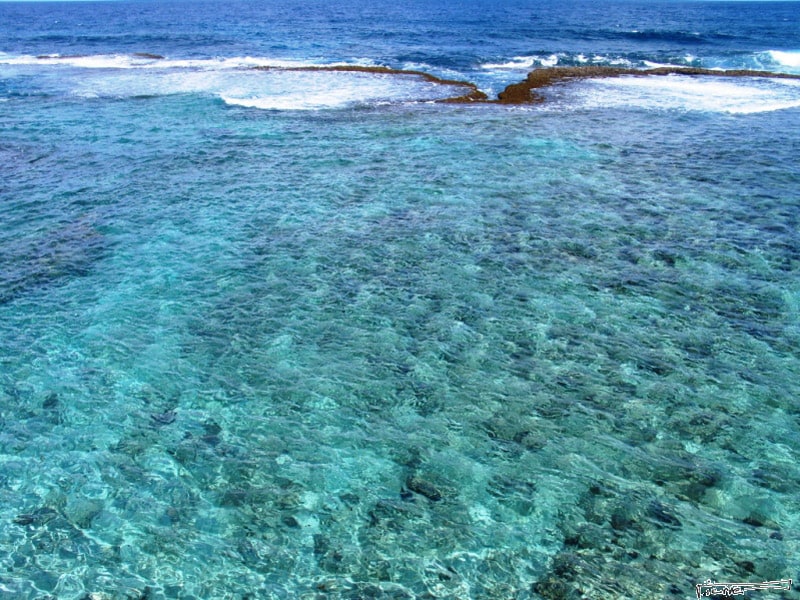 A clear view of a tranquil ocean stretches towards the horizon. The water showcases varying shades of blue and green, with sunlight illuminating the sandy bottom and coral formations beneath the surface. Gentle waves can be seen breaking at the water's edge.