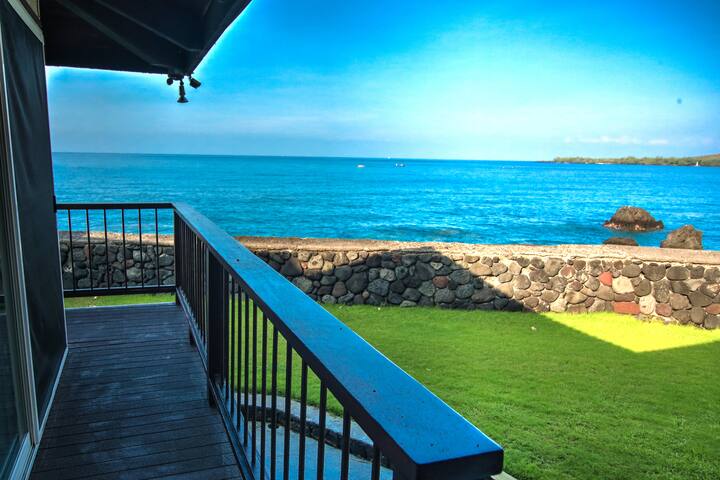 Spectacular Kealakekua Bay gallery image 4