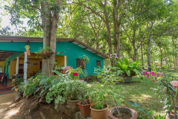 תמונה מספר 1 של Neverbeen to Palitha Homestay | Family Room