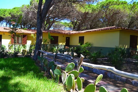 Residence Ala Birdi - 200 meters from Arborea Beach