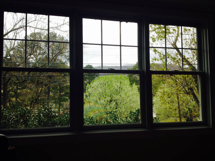 Views of Elder mountain from front windows