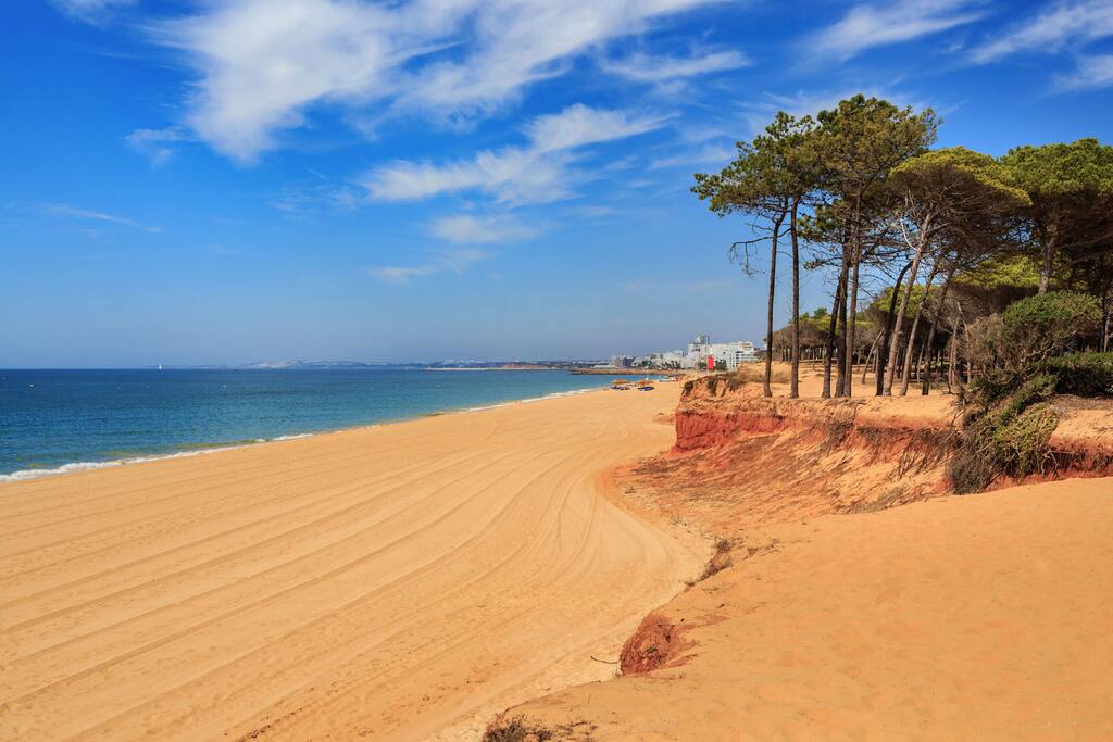 Falésia Beach! Amazing sea walks!