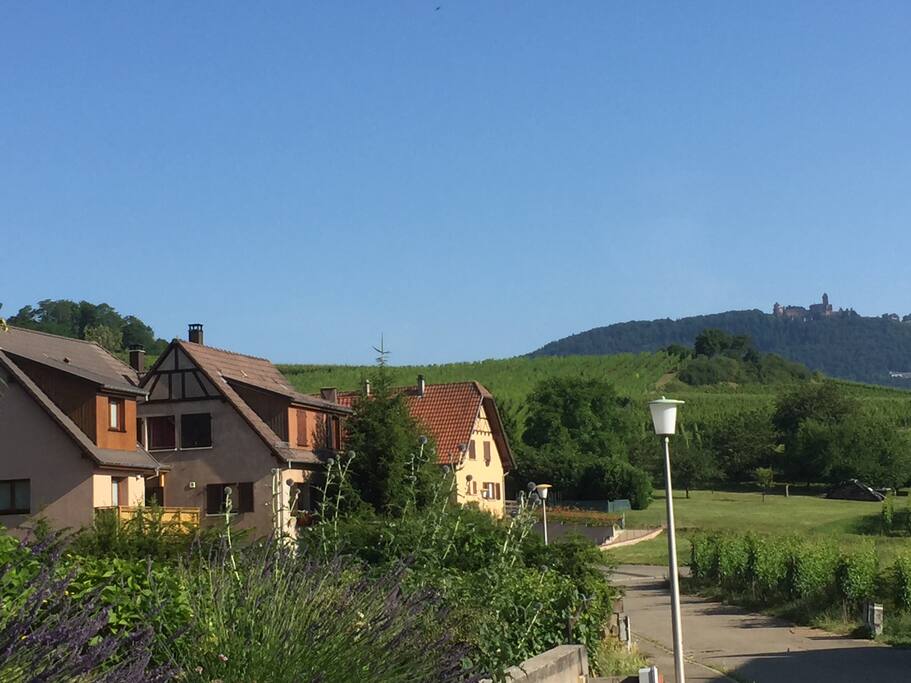 A 500 mètre de la route des vins, soyez la bienvenue au gite rouge au cœur du vignoble Alsacien