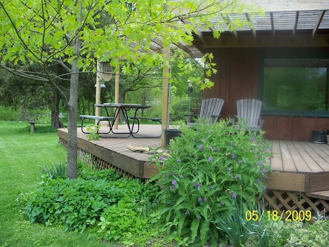 Bird Haven
