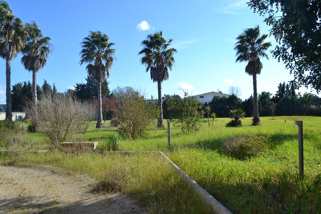 Giardino
