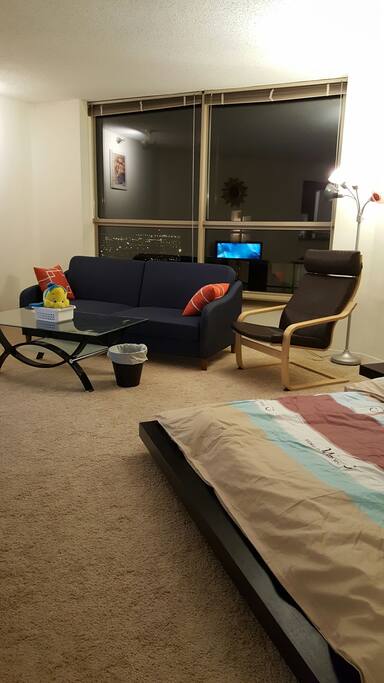 Living area with sofa bed