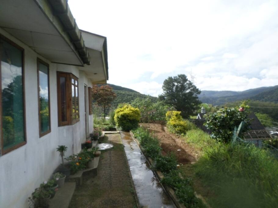 Angela home stay