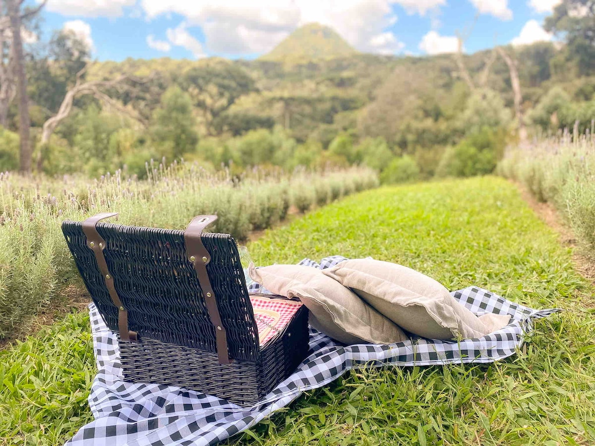 A picnic basket rests on a checkered blanket, accompanied by soft pillows, set against a backdrop of lush greenery and rows of lavender. A distant mountain is visible under a partly cloudy sky, enhancing the serene natural setting.