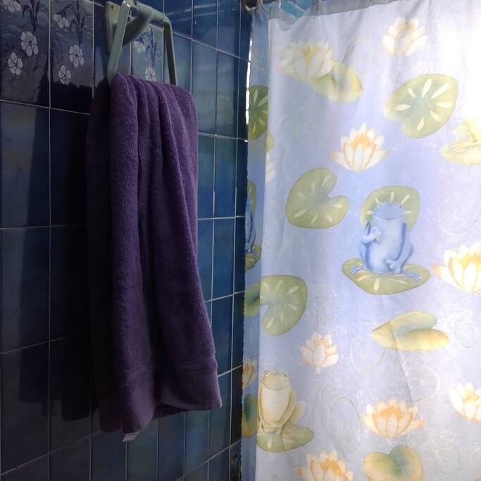 Baño privado
Private Bathronn