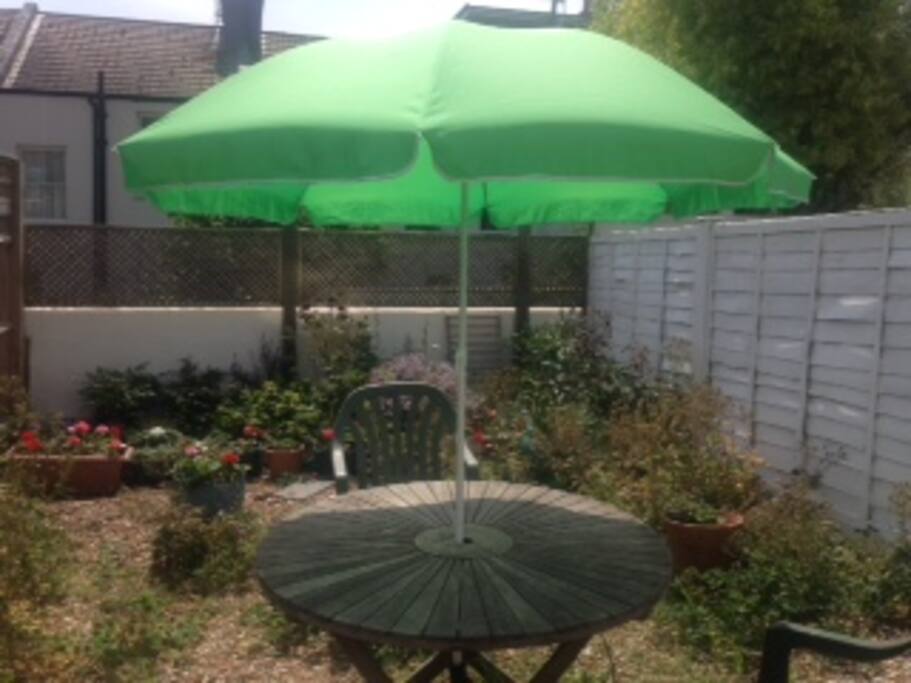 sunny south facing garden