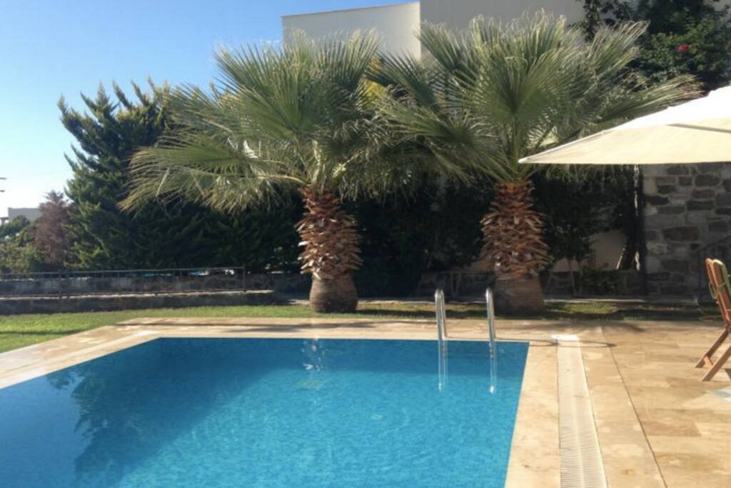 Private pool and garden