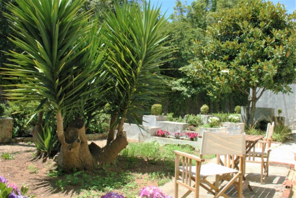 Garden