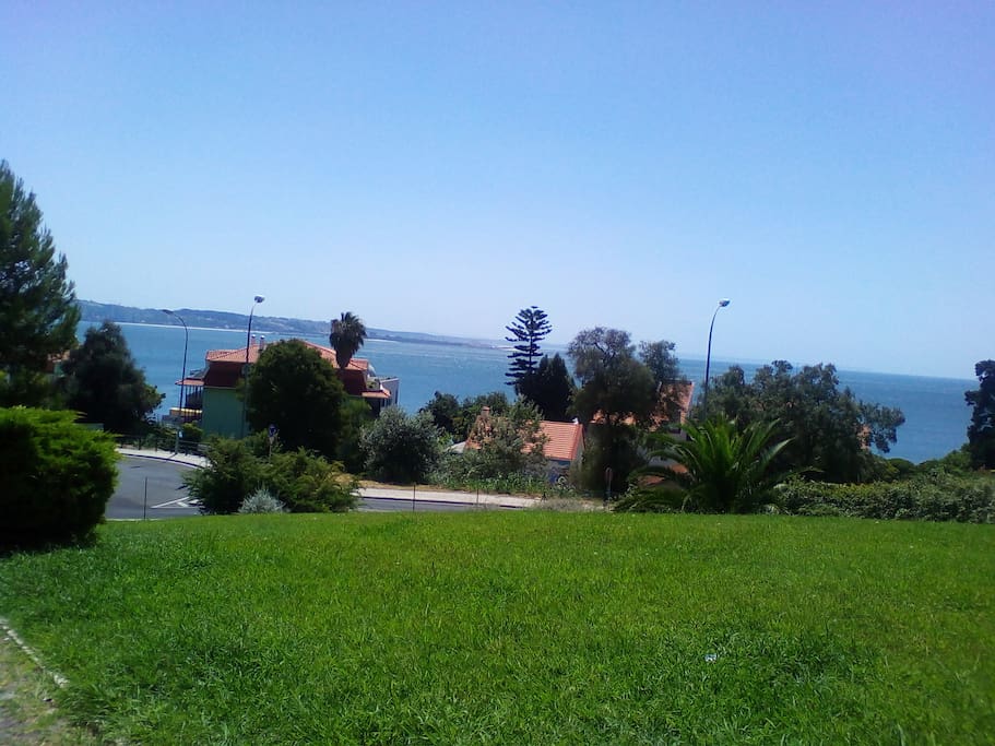 Sea - View