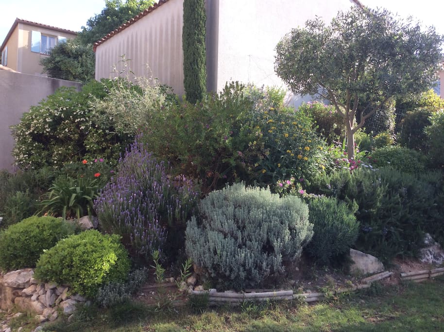 Jardin