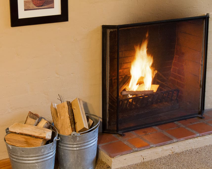 Cosy Fireplace in the lounge