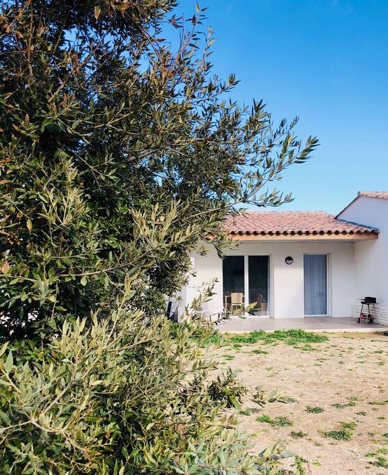 Vue de la maison depuis le parc