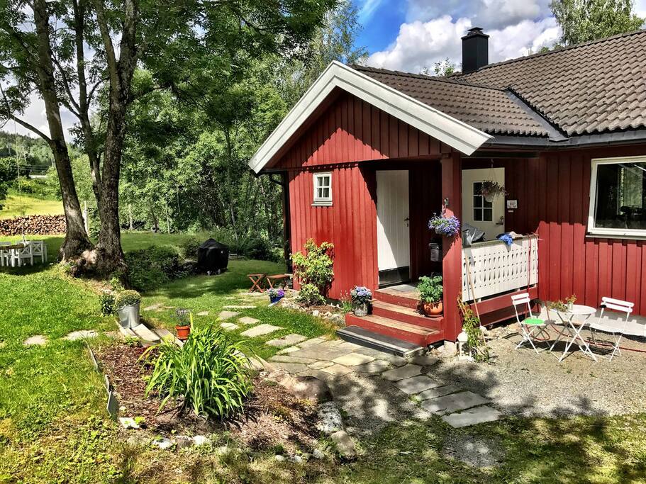 Our house and garden