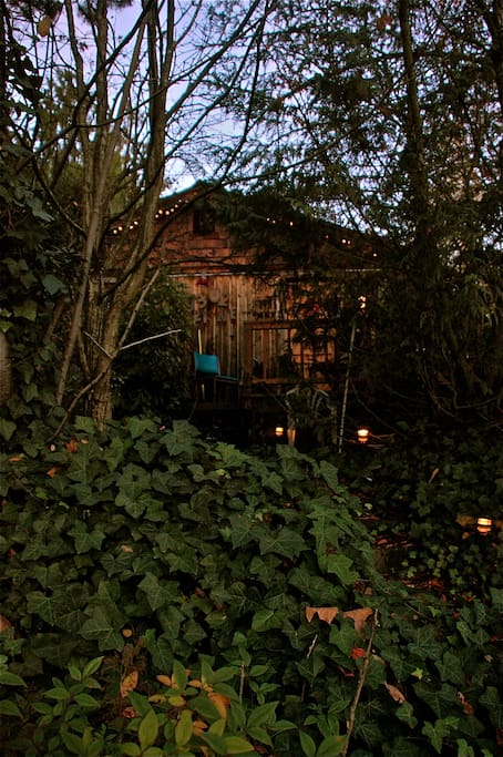 garden lights illuminate stairs to deck & entrance