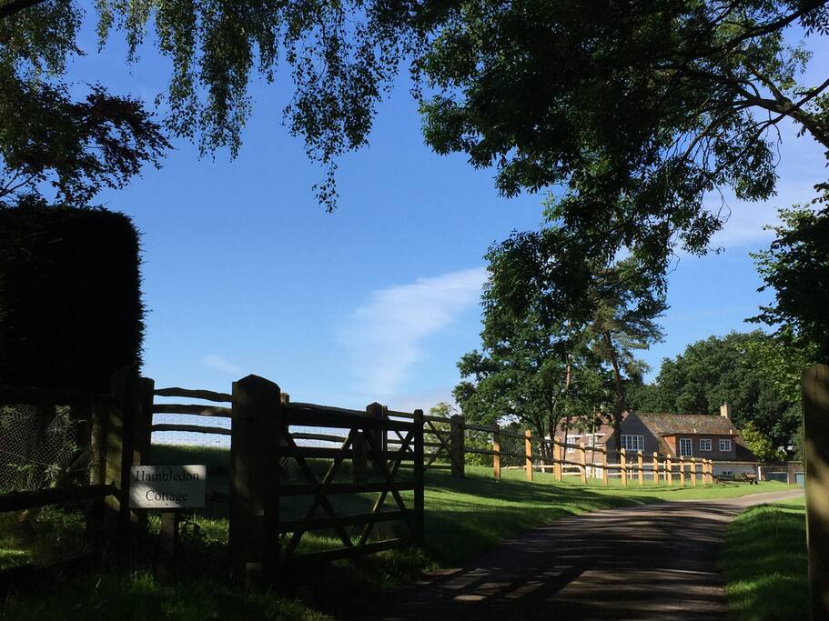 Looking South towards the cottage from our entrance gate...