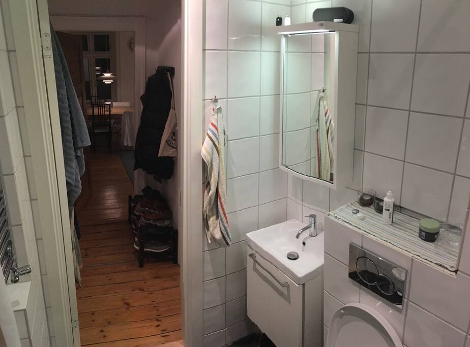 The bathroom, hall and livingroom