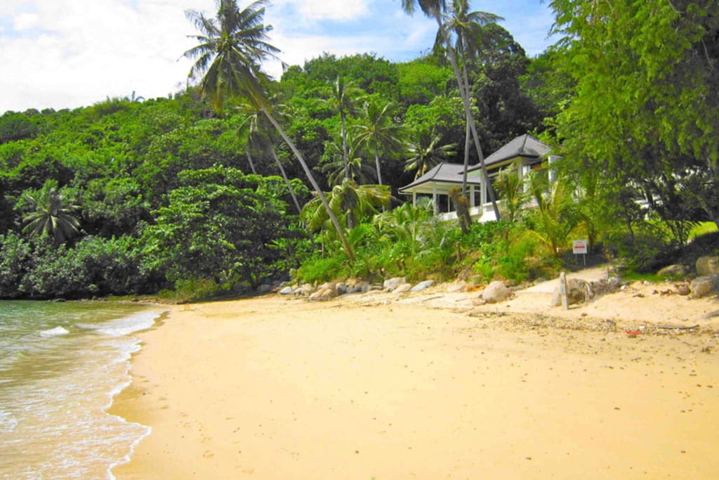 Absolutely Beach Front