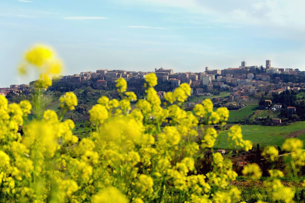 Vista sul paese di Osimo