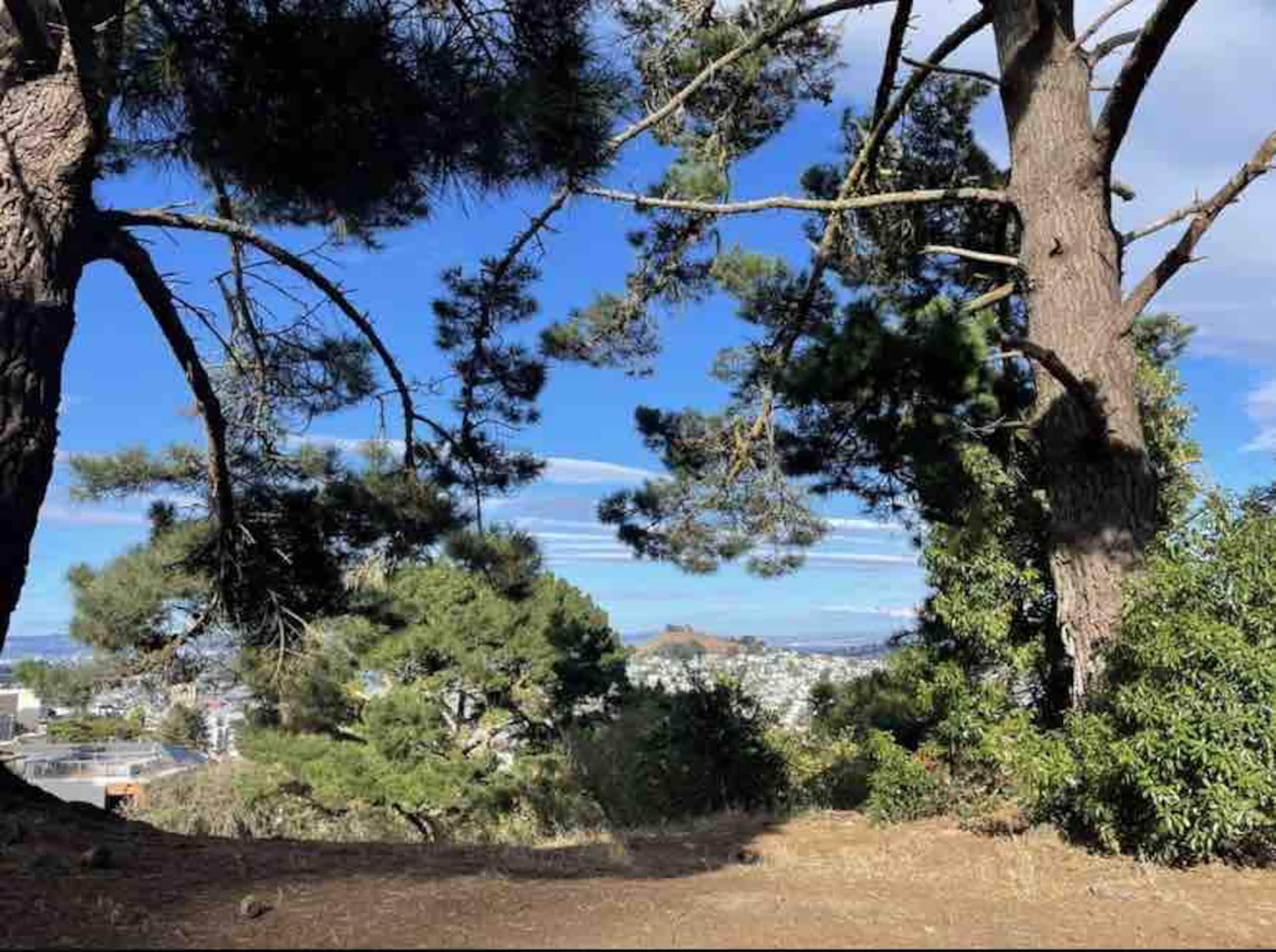 Home in San Francisco · ★4.86 · 2 bedrooms · 3 beds · 1 bath - Image 19