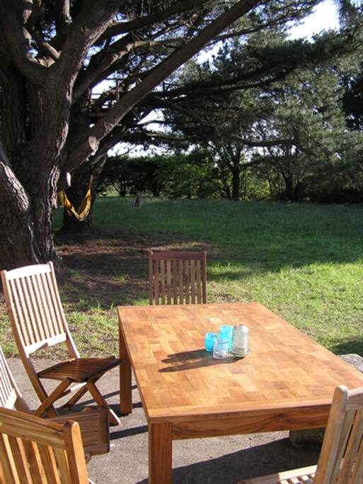 Vue de la terrasse sur le jardin non clos