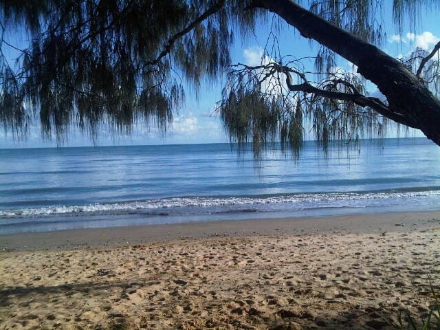 The Little Green Cottage by the Sea