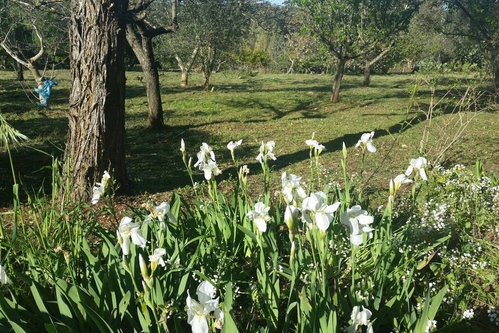Giardino fronte