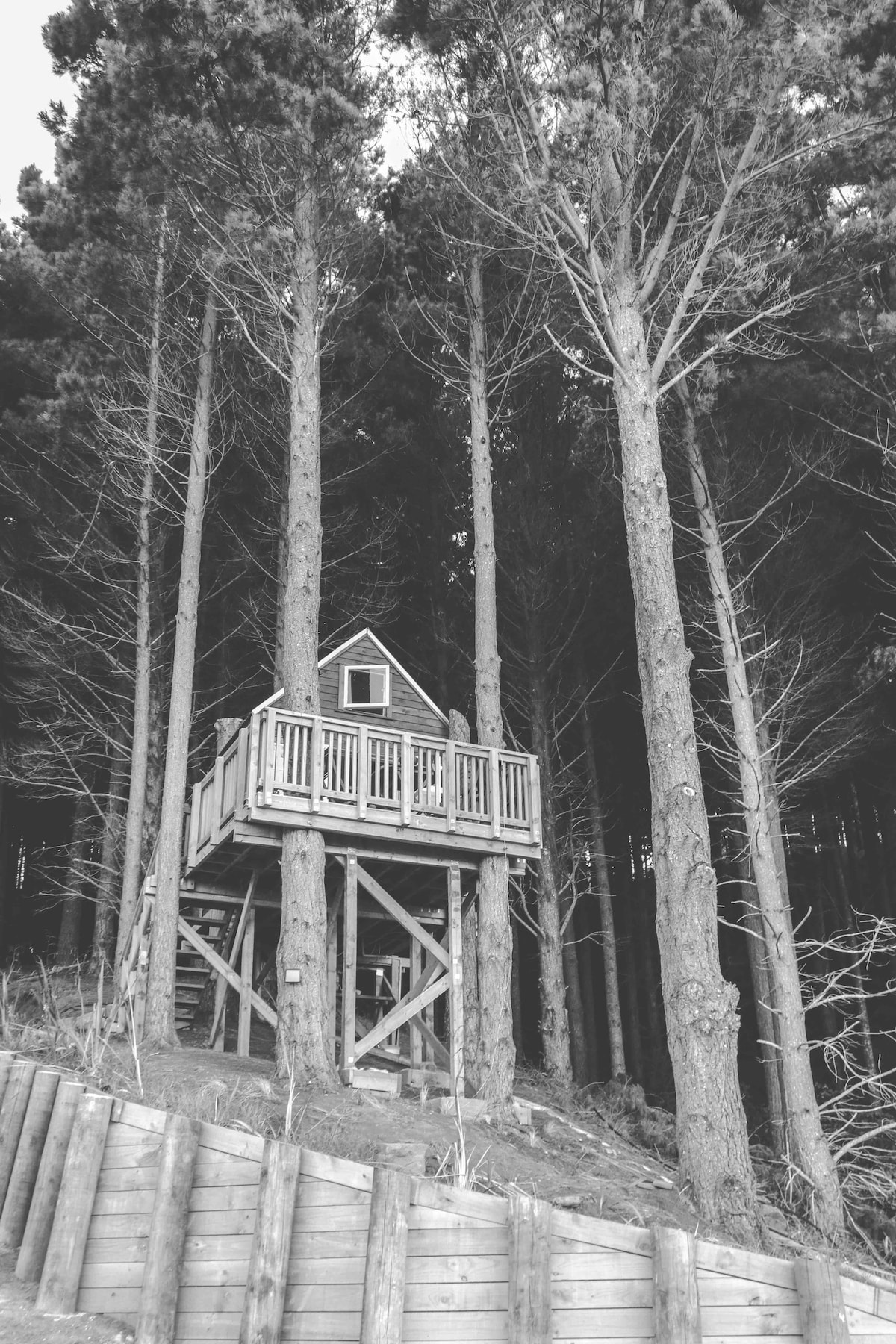 Treehouse Raglan Raglan Tree House in the Woods with Outdoor Bath - Treehouses for Rent ...