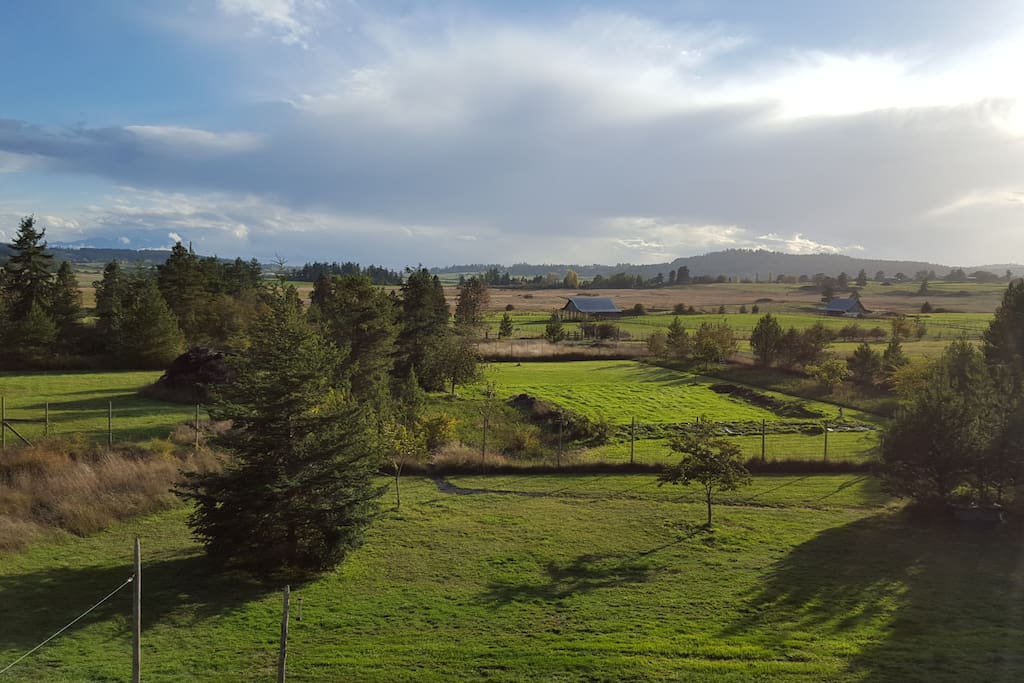 View south from the roof. The Olympics and the Straits are on the horizon.