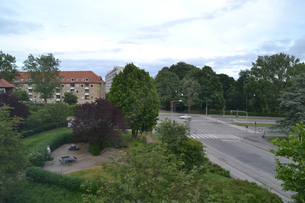 The view from the window :)
