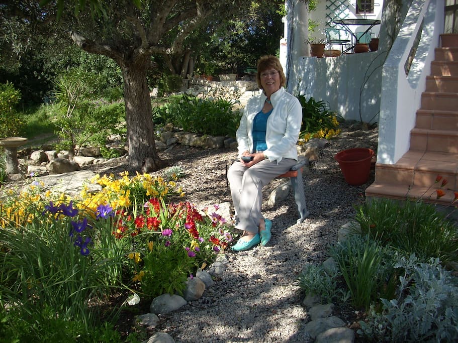 Spring flowers in the front garden