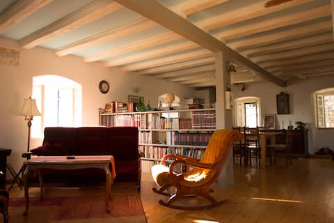 Successful Airbnb property: Great Grandfather's House in Prvić šepurine