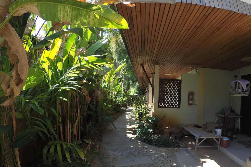 Outside alley to the rooms.